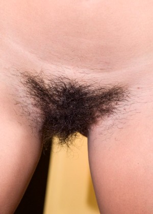 Wearehairy Model