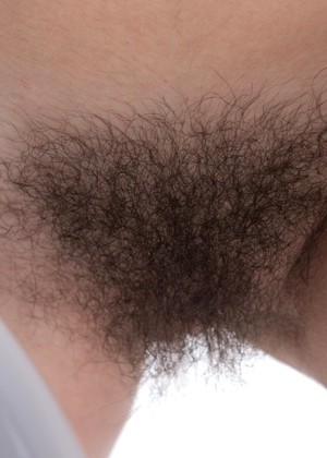 Wearehairy Model